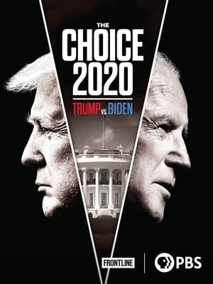 The Choice 2020: Trump vs. Biden poszter