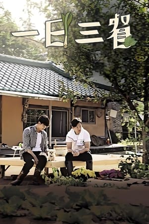 삼시세끼 정선편 poszter