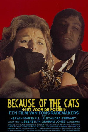 Because of the Cats poszter
