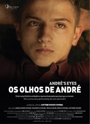 Os olhos de André poszter