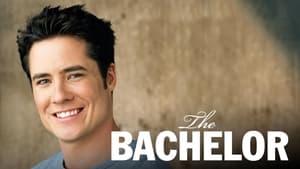 The Bachelor kép