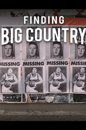 Finding Big Country poszter