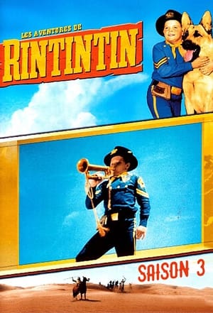 The Adventures of Rin Tin Tin