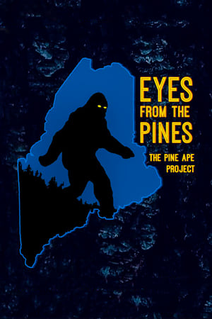 Eyes from the Pines poszter