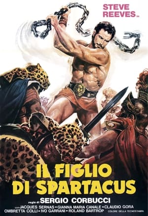 Il figlio di Spartacus poszter