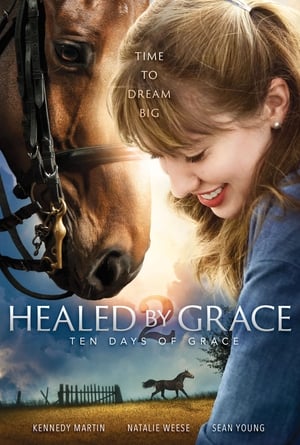 Healed by Grace poszter