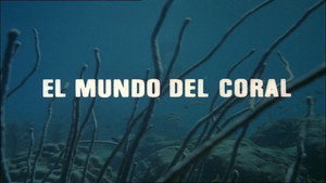 El hombre y la Tierra 1. évad Ep.15 15. epizód