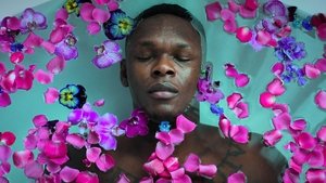 Stylebender háttérkép