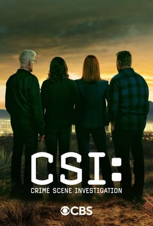 CSI: A helyszínelők poszter