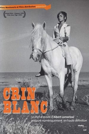 Crin blanc: Le cheval sauvage poszter