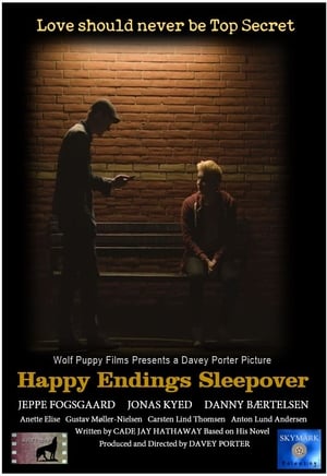 Happy Endings Sleepover poszter