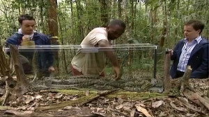 I'm a Celebrity...Get Me Out of Here! Season 1 Ep.4 4. epizód