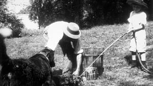 La toilette du petit chien háttérkép