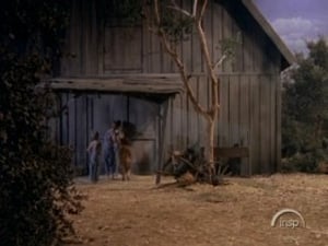 The Waltons Season 1 Ep.2 2. epizód