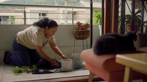 Cuidado de una Orquidea háttérkép