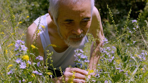 연지 háttérkép