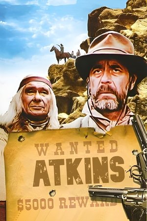 Atkins poszter