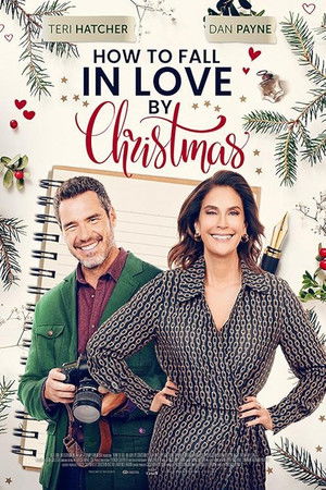 How to Fall in Love by Christmas poszter