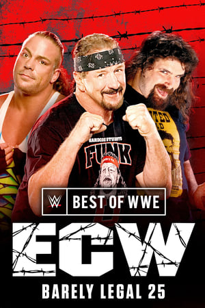 The Best of WWE poszter