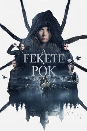A fekete pók