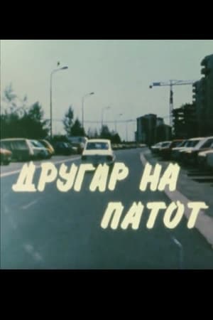 Другар на патот