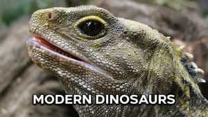 Modern Dinosaurs kép