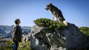 Mort d'un berger háttérkép