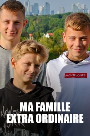 Meine alles außer gewöhnliche Familie poszter