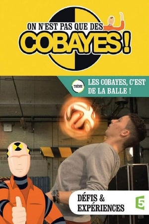 On n'est pas que des cobayes !