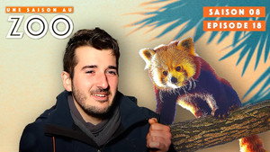 Une saison au zoo Season 8 Ep.18 18. epizód