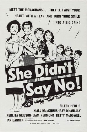 She Didn't Say No! poszter