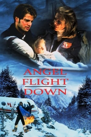 Angel Flight Down poszter