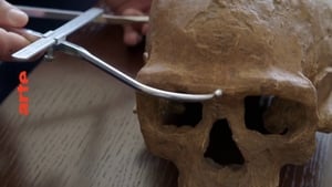 Homo sapiens, les nouvelles origines háttérkép