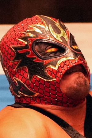 Rey Hechicero profil kép