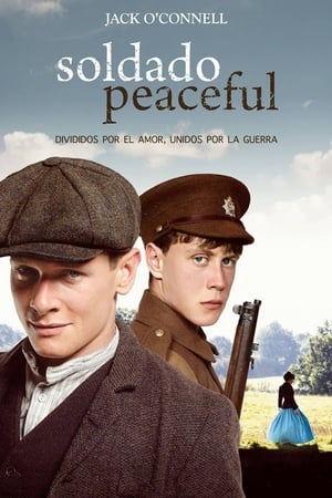 Private Peaceful poszter