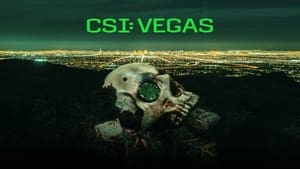 CSI: Las Vegas-i helyszínelők kép