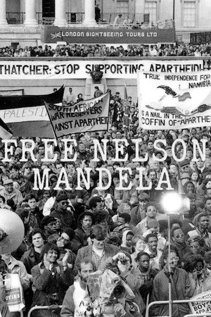Free Nelson Mandela poszter