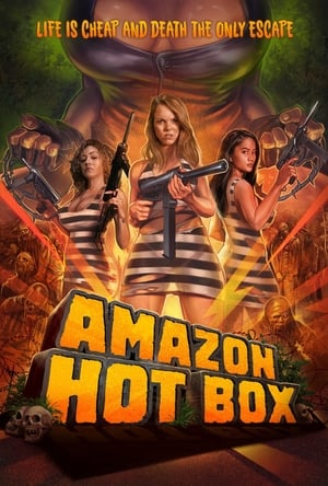 Amazon Hot Box poszter