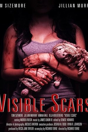 Visible Scars poszter