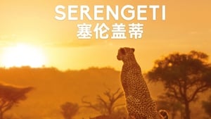 Élet a Serengeti Nemzeti Parkban kép