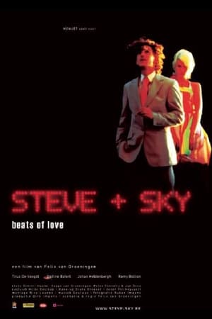 Steve + Sky poszter