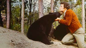 The Bears and I háttérkép