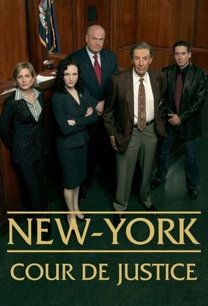 Law & Order: Trial by Jury poszter