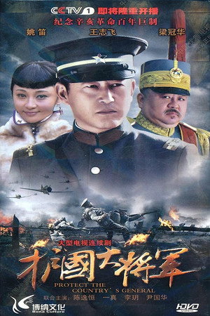 护国大将军 poszter