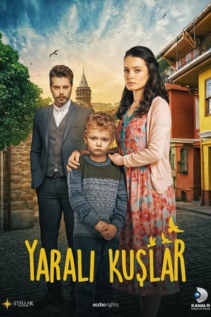 Yaralı Kuşlar