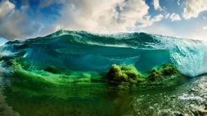 Shorebreak: The Clark Little Story háttérkép