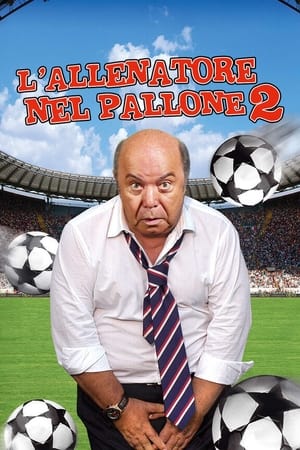 L'allenatore nel pallone 2 poszter