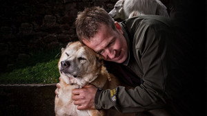 Animal Airlift: Escaping the Taliban háttérkép