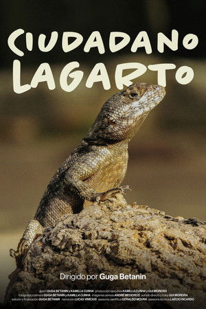 Cidadão Calango poszter