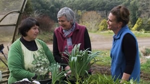 Gardening Australia Season 29 Ep.19 19. epizód